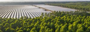 Visão aérea de uma grande usina fotovoltaica.